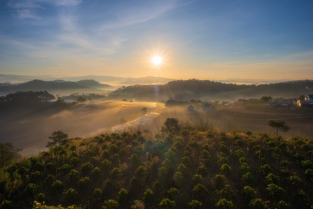 Sunrise over a misty landscape of Vietnamese highlands with trees and buildings.