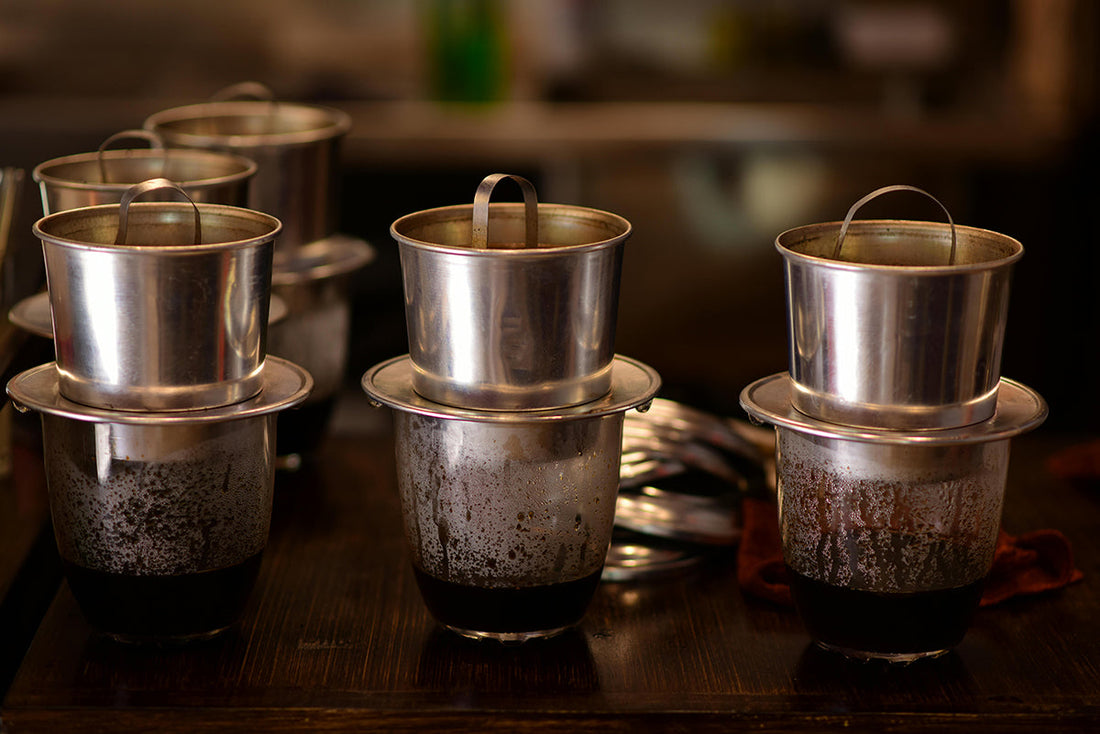 From a Harsh Bean to a Global Powerhouse: Vietnam’s Coffee Legacy